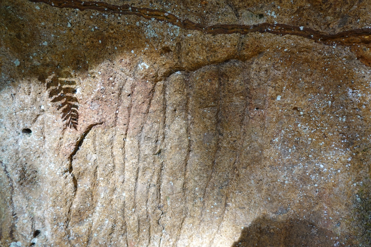 Click for full size image of Cascadia Cave (PID:281130) Cascadia Cave