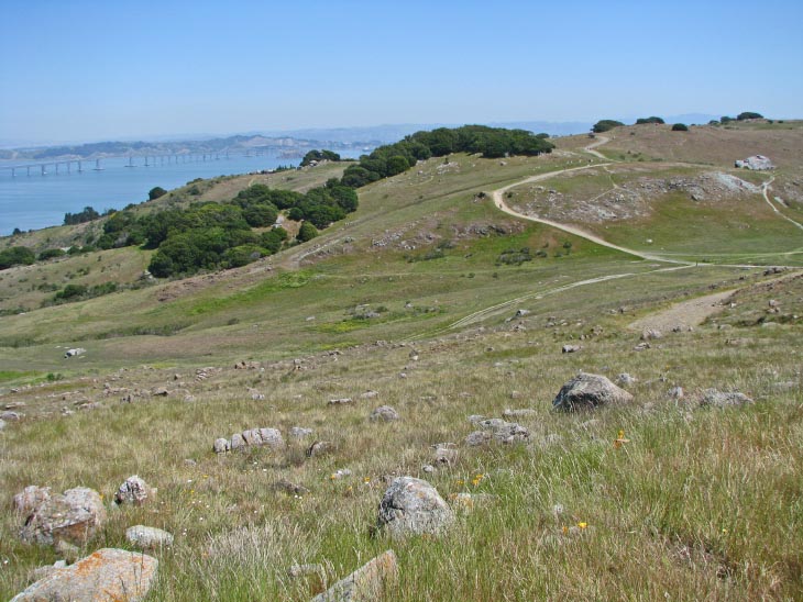 Ridge line of Ring Mountain looking toward the northeast, with the Richmond-San Rafael Bridge in the background spanning the San Pablo Bay.  This bridge is considered the northernmost east-west span across San Francisco Bay.