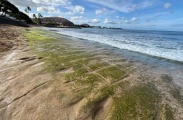 Ku'ilioloa heiau - PID:295007