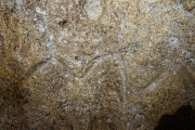 Cascadia Cave - PID:281132