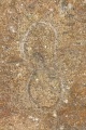 Cascadia Cave - PID:281131