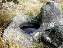 Snake River Archaeological Site