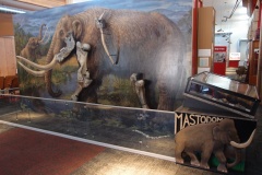Sequim Museum & Arts