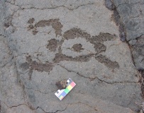 Waikoloa Petroglyph Field