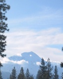 Mount Shasta