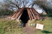 Coyote Hills Shellmound ALA 329