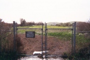 Coyote Hills Shellmound ALA 329