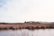 Coyote Hills Shellmound ALA 329 submitted by symbionspacesuit