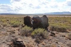 Greaser Lake Petroglyphs