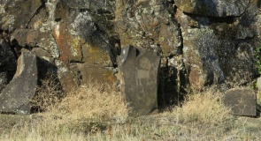 Columbia Hills State Park