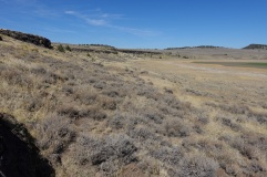 Petroglyph Lake