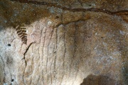 Cascadia Cave - PID:281130