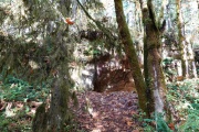 Cascadia Cave - PID:281134