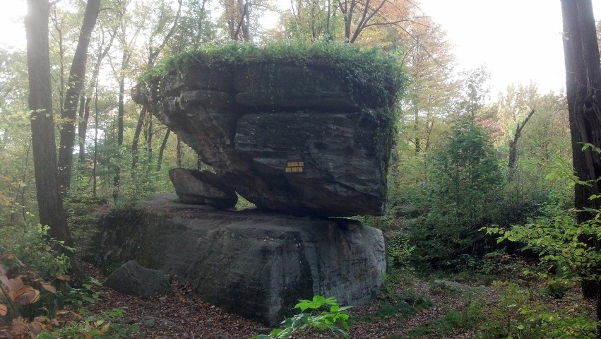 Stone of Rock City Park