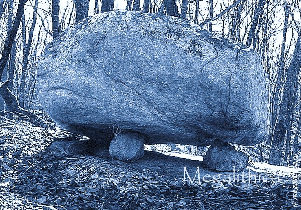 Connecticut Seid (PID:197701) Connecticut Seid