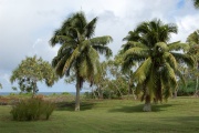 Kahanu Garden and Preserve