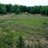 Cactus Hill