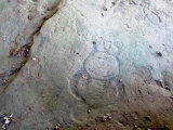 Leo Petroglyphs - PID:288897