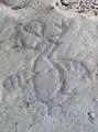 Leo Petroglyphs - PID:288898