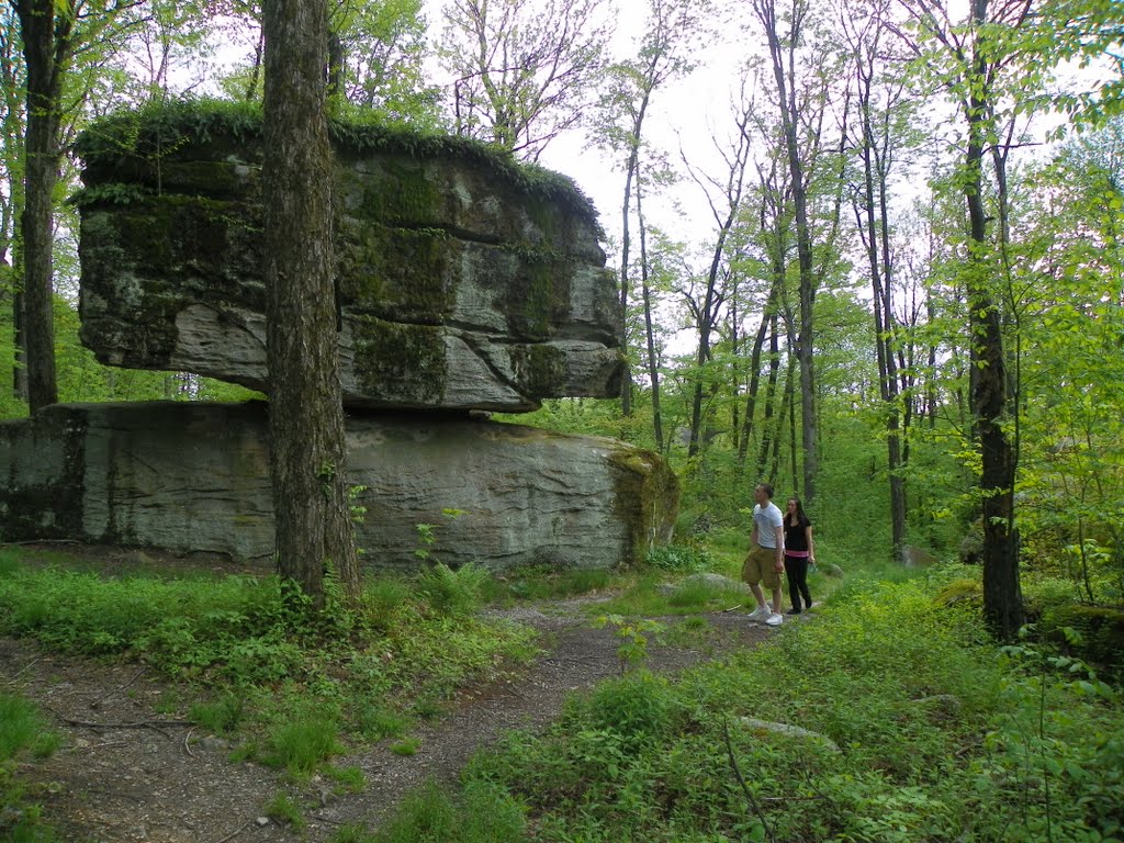 Stone of Rock City Park