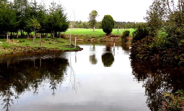 Sitios arqueológicos Monte Verde y Chinchihuapi.  View along Chinchihuapi Creek.
30 September 2012, 15:36:49
Author 	Rodolfo Ditzel Lacoa
This file is licensed under the Creative Commons Attribution-Share Alike 3.0 Unported license.