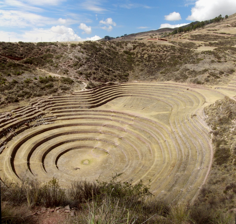 Moray Terraces