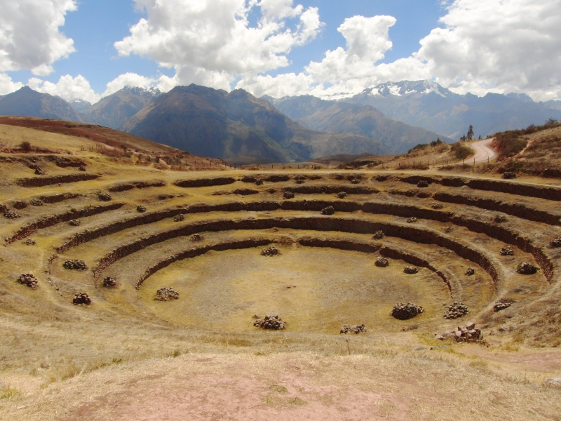 Moray Terraces