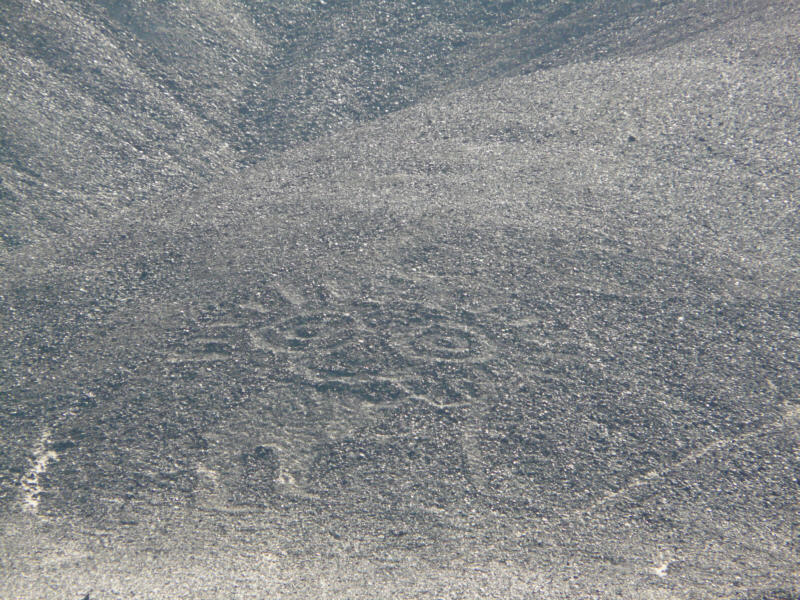 Petroglifos de Llipata