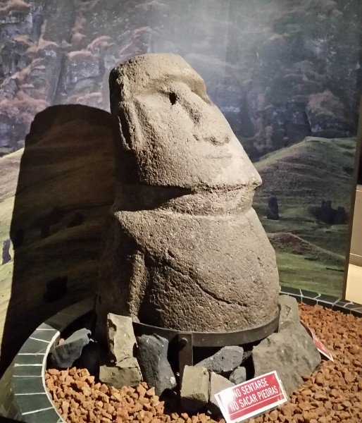 A fairly small moai in Santiago Natural History Museum.