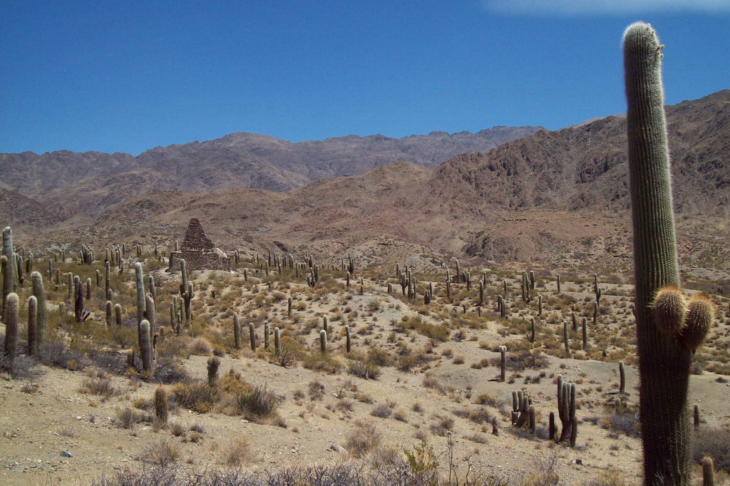 Potrero de Payogasta