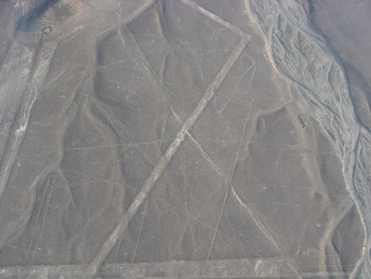 Nazca Lines - Whale