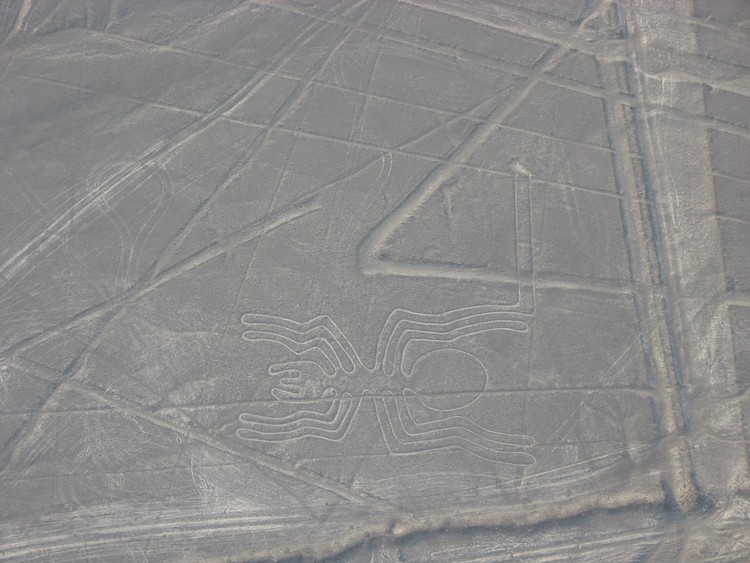 Nazca Lines - Spider