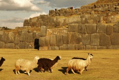 Sacsayhuaman