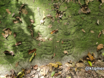 San Esteban petroglyphs