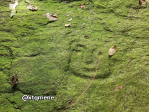 San Esteban petroglyphs