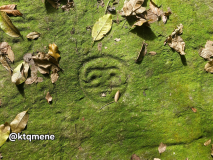 San Esteban petroglyphs