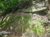 San Esteban petroglyphs