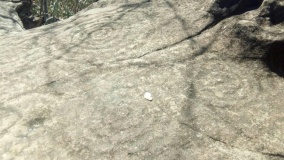 Baragua petroglyphs - PID:306213