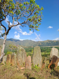 Piedra Pintada Archaeological Park