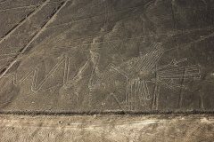 Nazca Lines