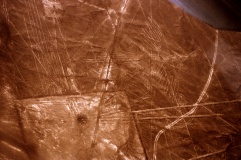Nazca Lines - Hummingbird - PID:236681 Nazca Lines - Hummingbird - PID:236681
