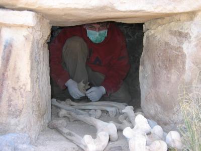 Researcher at the entrance to one of the Tompullo chullpas (tombs.)  Photo: Courtesy Mateusz Baca, Instytut Genetyki i Biotechnologii, University of Warsaw.

Site in  Peru.

