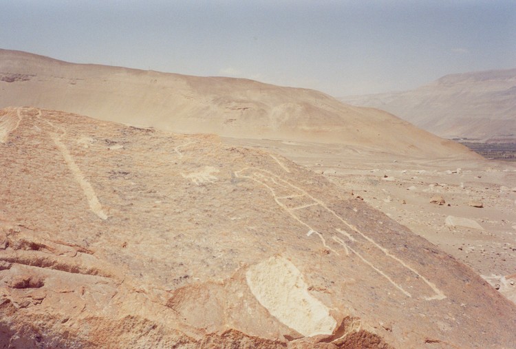 Click for the gallery page to add comments and vote (PID:40768) Toro Muerto Petroglyphs