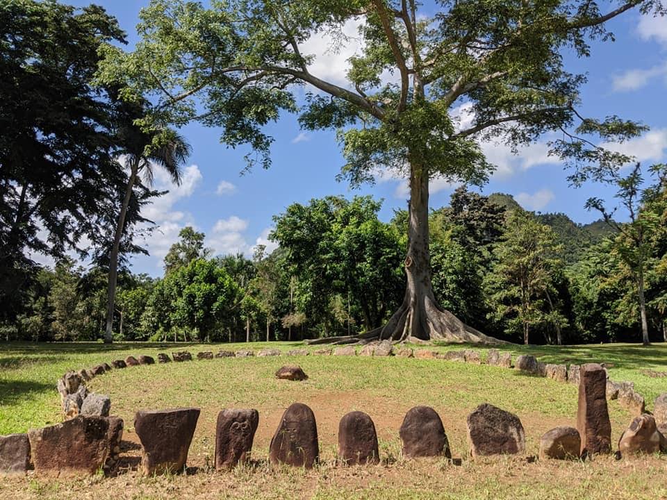 Caguana