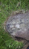 Small fallen menhir