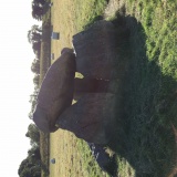 Giant's Ring