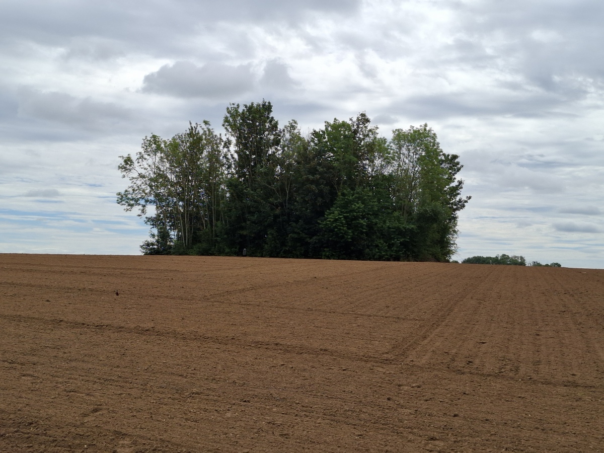 Tumulus d'Aineffe