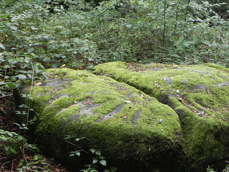 Polissoirs de Velaine sur Sambre