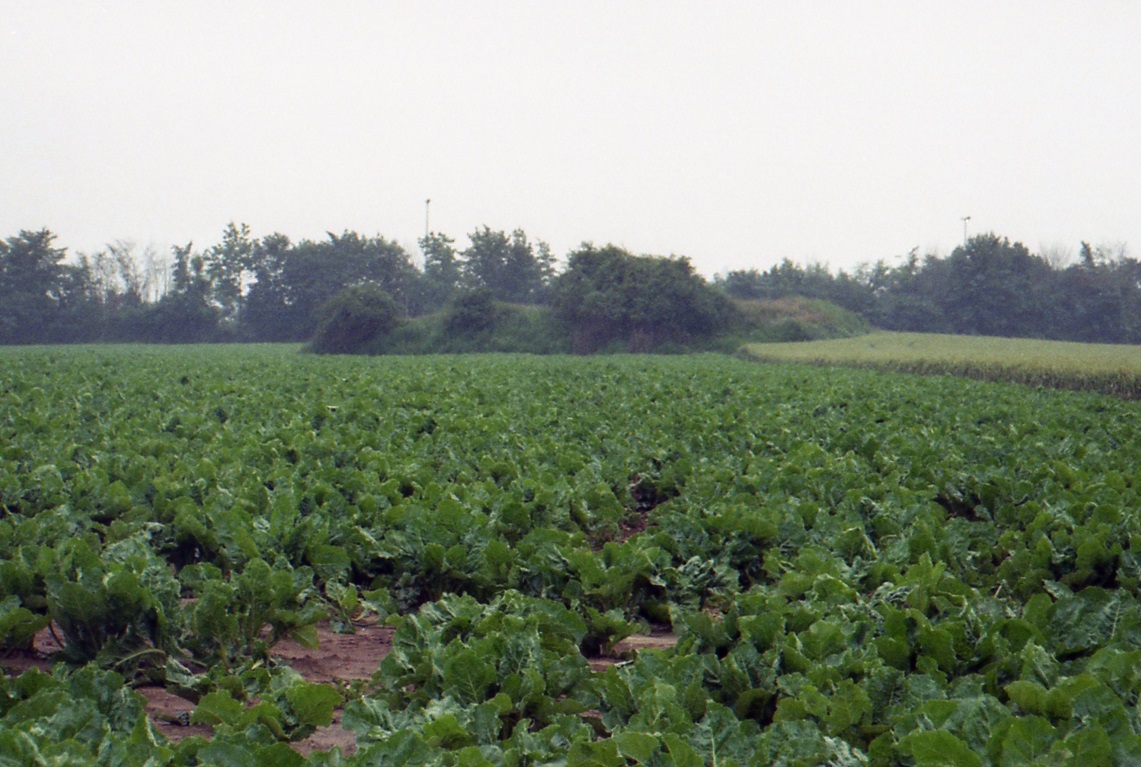 Click for the gallery page to add comments and vote (PID:211470) Tumulus de Hodeige