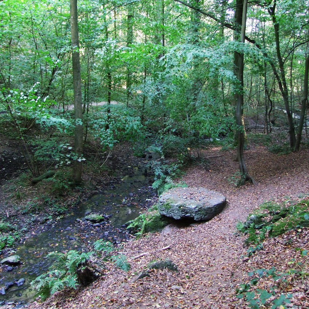 Table des Sorcières